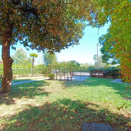 Apartament Gest Short Rent 5 *